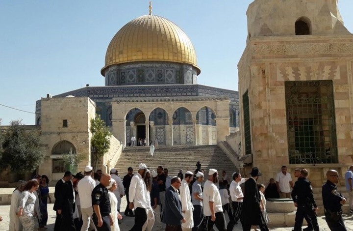 Settler Attacks in the Palestinian Territories: Systematic Development & Governmental Support