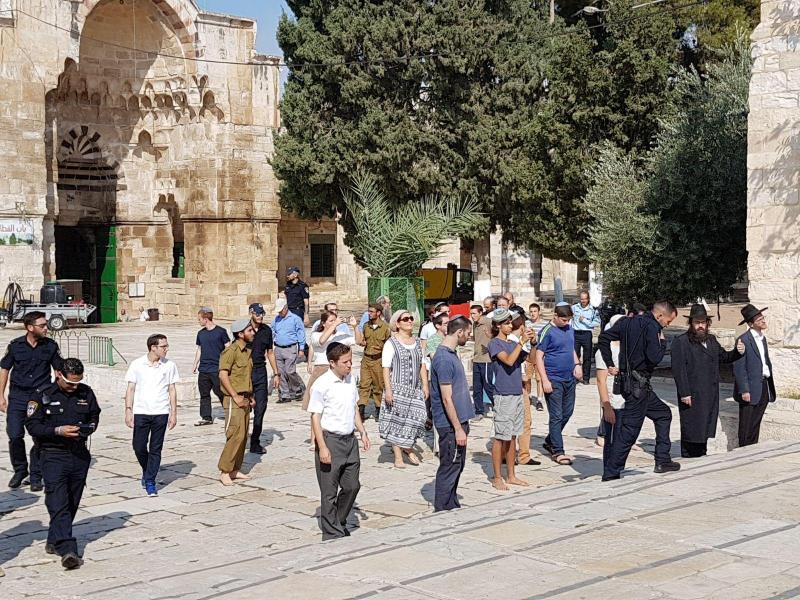 اعتداءات المستوطنين في الأراضي الفلسطينية: تطوّر ممنهج ودعم حكومي