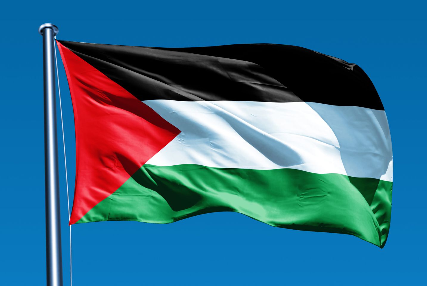 مبادرة الخلاص الوطني ... الوحدة والقيادة الموحدة قبل كل شيء
