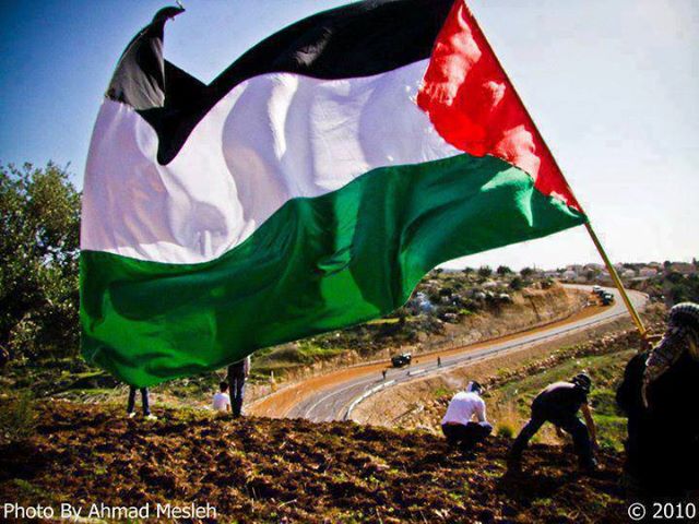 البرنامج الفلسطيني لا يخضع لموازين القوى ولا يتجاهلها