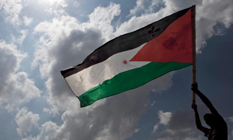 الفلسطيني المتلقي التائه