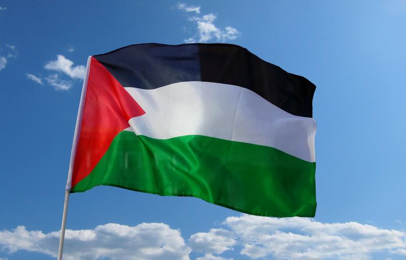إعلان التحاق - برنامج "الشباب الفلسطيني يريد"